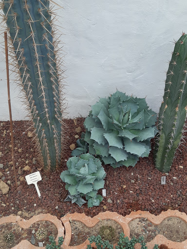Landare Exotikoen Lorategia /plantes exotiques Garden Gallery - France