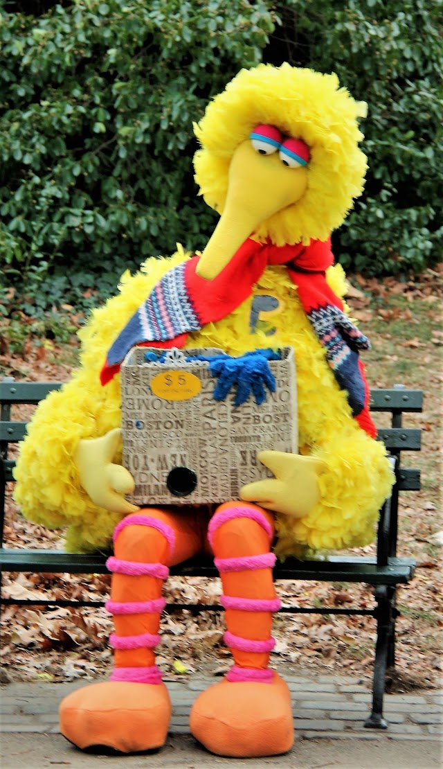 Billy Johnson Playground