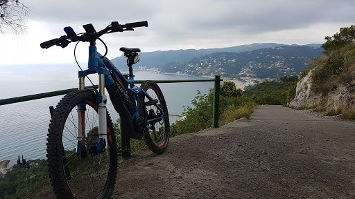 Super Bike - Visual