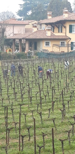 Asilo Infantile di Villa Pedergnano - Thumbnail