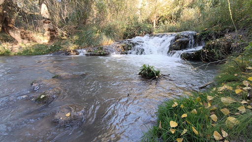 Hoces del Río Ojos de Moya - Thumbnail