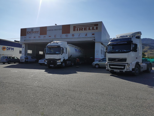 OMNIA MOTOR LORCA - Thumbnail