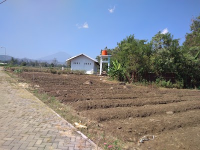 Photos of AGRICULTURAL TECHNOLOGY PARK LEBAKSIU