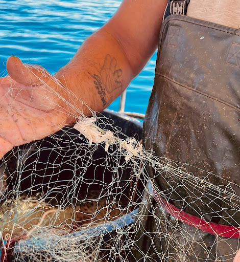 Pescaturismo Lisca - Thumbnail