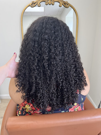 The Curl Studio - Visual