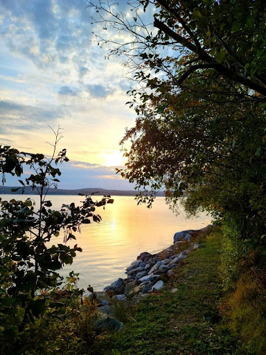 Johnson Cove Properties - Thumbnail