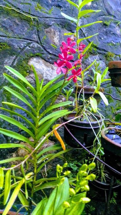 Photos of Infinite Garden