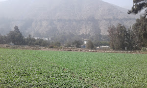 Club Fondo De Empleados Superintendencia Nacional De Aduanas 4