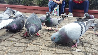 Photos of Caldas Park
