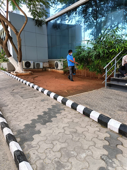 The King Pest Management
