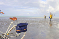 musettes et compagnie à Cayeux-en-Santerre