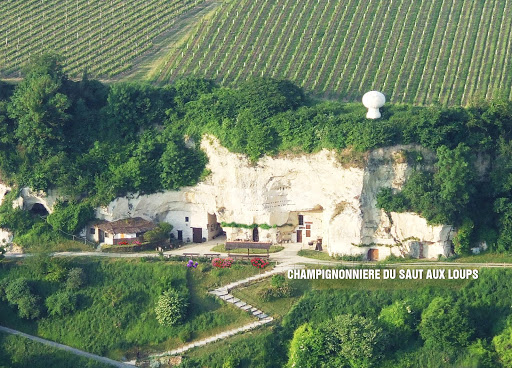La Champignonniere du Saut Aux Loups