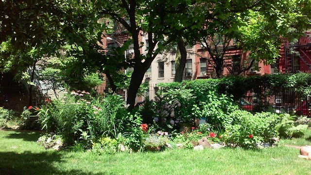 Clinton Community Garden
