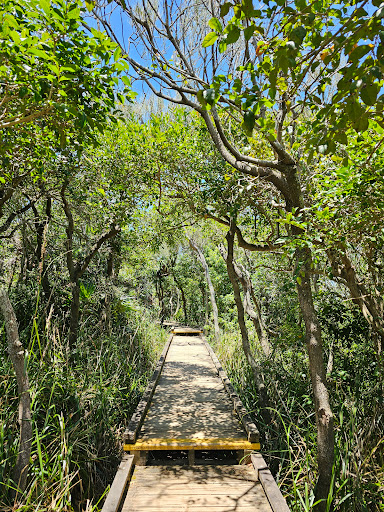 Bilgola Beach - Thumbnail