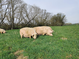 Photo n°1 de EARL LA VRAIE VIE à Frenelle-la-Grande (Magasin de produits de la ferme)