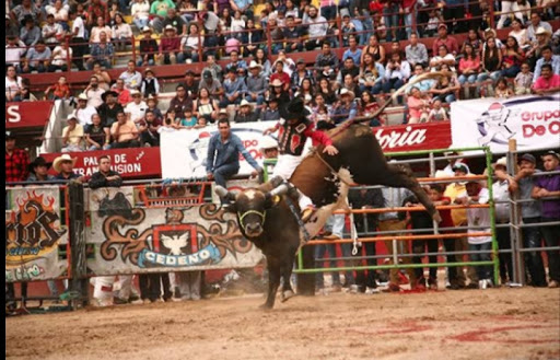 Plaza de Toros "El Paraiso"