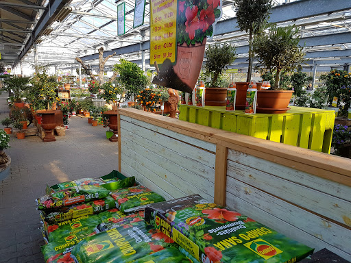 Dehner market Münster - Thumbnail