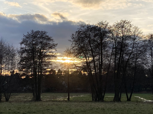Koppel - Feld - Visual