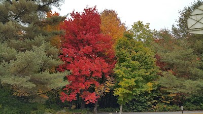 Photos of Molly Stark State Park