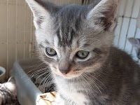 花上厚木繁殖場