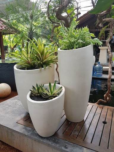 #dubaigarden #gardendubai #dubaigardening #gardening