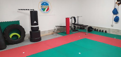 Dojo Gym - Visual