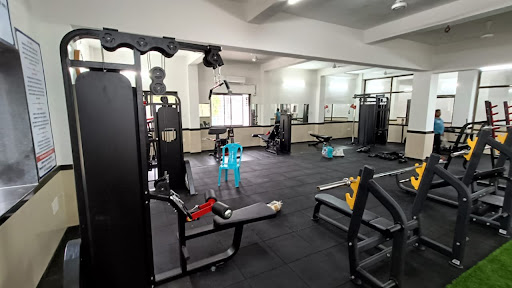 Alpha Industries - Gym & Playground Equipment