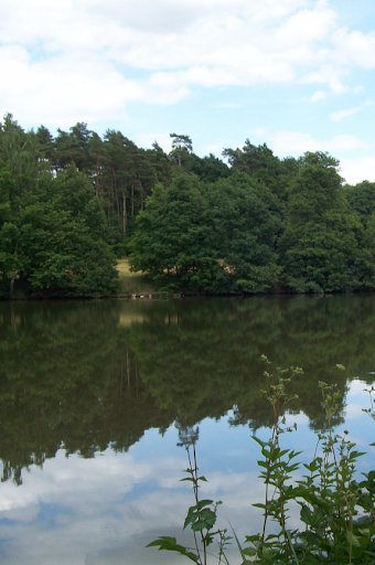 Fischbacher Teich - Thumbnail