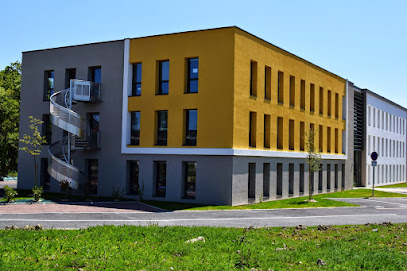 Bell Vision - Prestataire informatique pour entreprise