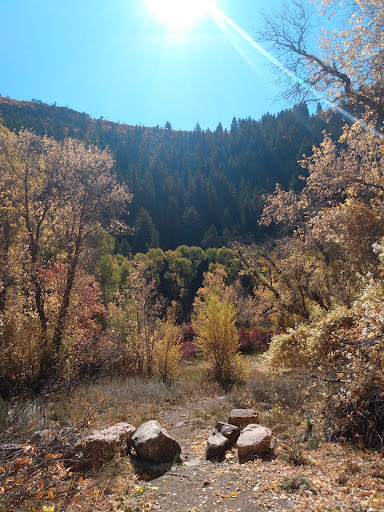 Botts Campground - Visual