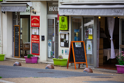 Photo de RESIDENCE DU LYS à Ligré (37500)