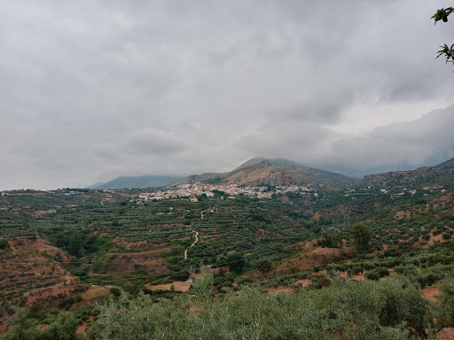 Cortijo Vista Alegre