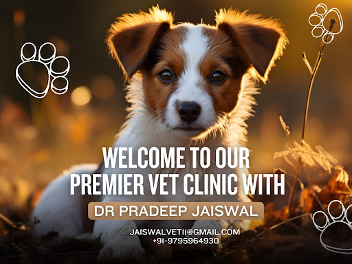 Welcome to Our Premier Vet Clinic with Dr Pradeep Jaiswal post image
