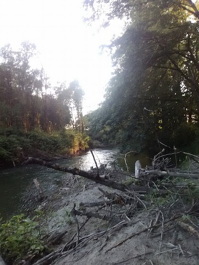 Photos of Lyman Slough Conservation Area