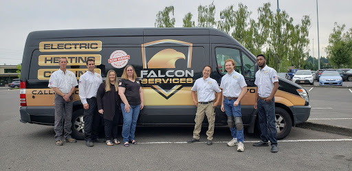 Falcon Electric