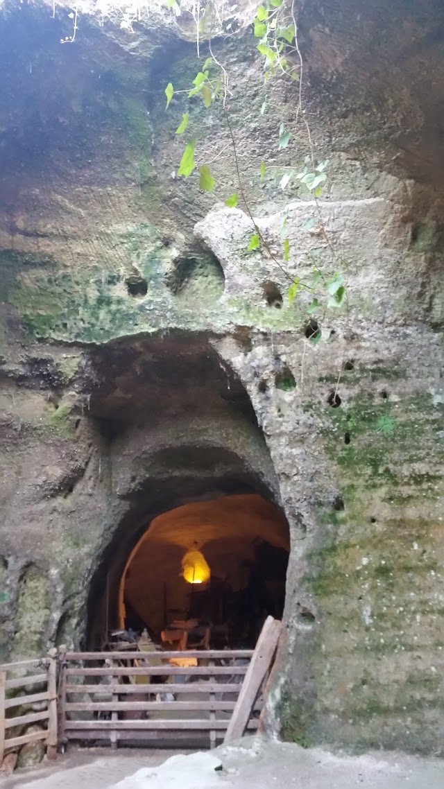 Snc les Caves de la Genevraie