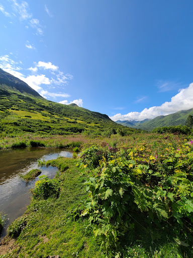 Gold Mint Trailhead - Thumbnail