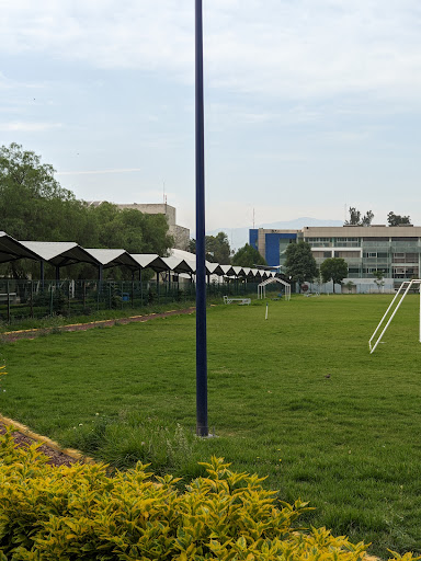 uam xochimilco