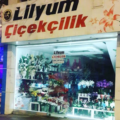 Photos of Samsun Lilies Horticulture