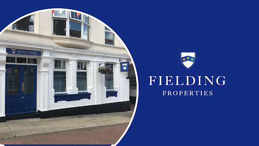 Fielding Properties - Visual