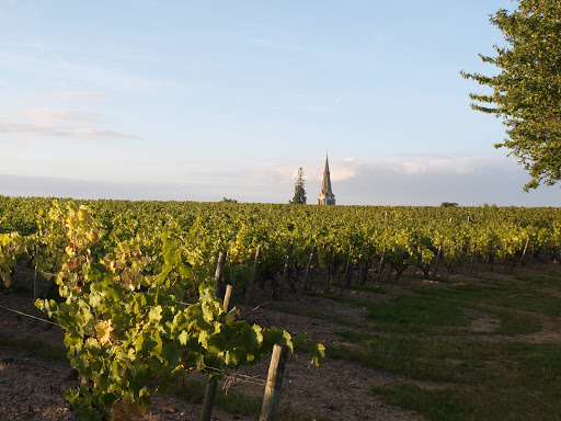 Château d'Epiré - Savennières