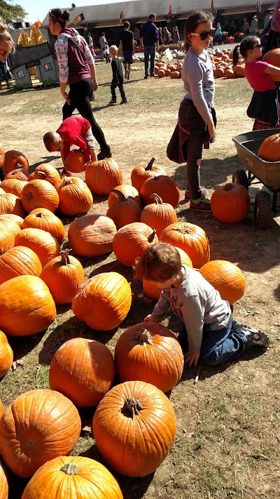 Photos of Shaw Farms Produce & Pumpkins