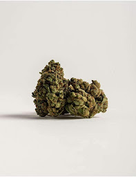 Photo n°22 de Maison Maryjane Calais à Calais (Programme de bien-être)