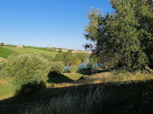 Colonnella Golf Club asd - Thumbnail