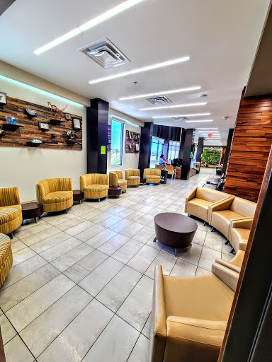 The DOCS Podiatry Gallery - United States
