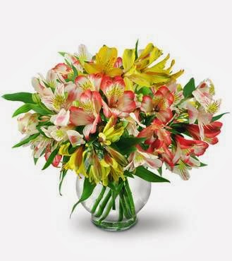 The Forest Florist & Country Accents - Thumbnail