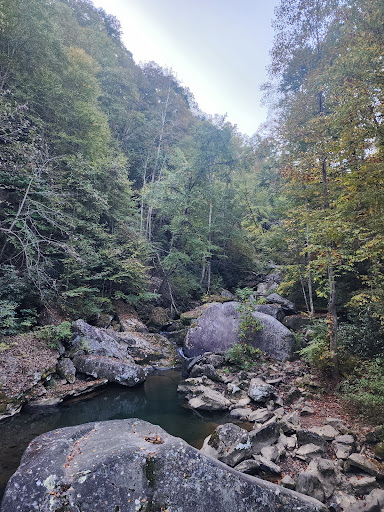 Long Point Overlook - Thumbnail