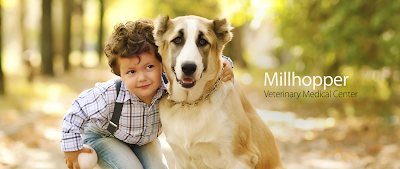 Photos of Millhopper Veterinary Medical Center