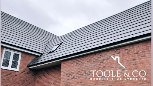 Toole & Co Roofing & Maintenance