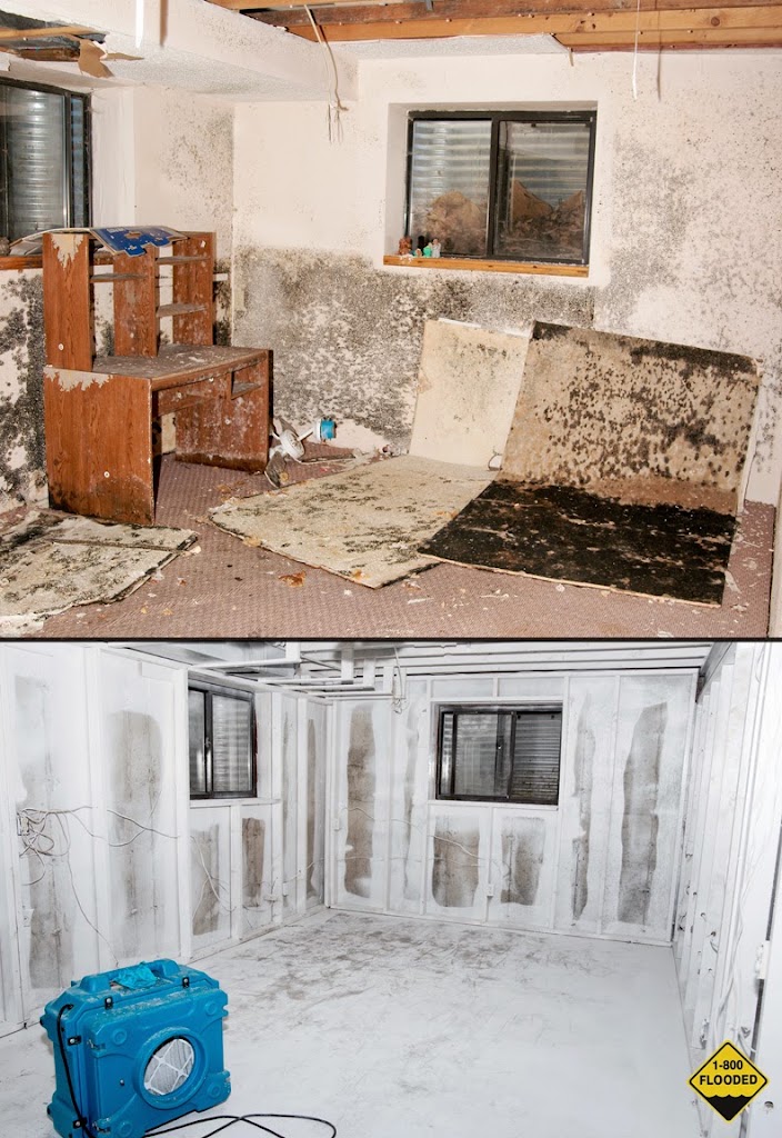 CMS Restoration photo